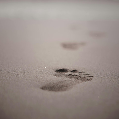 Footprint on brown sand