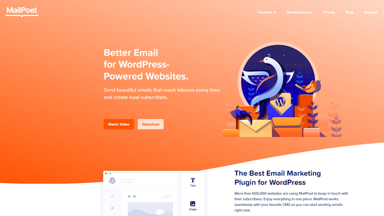 Screenshot of MailPoet's website